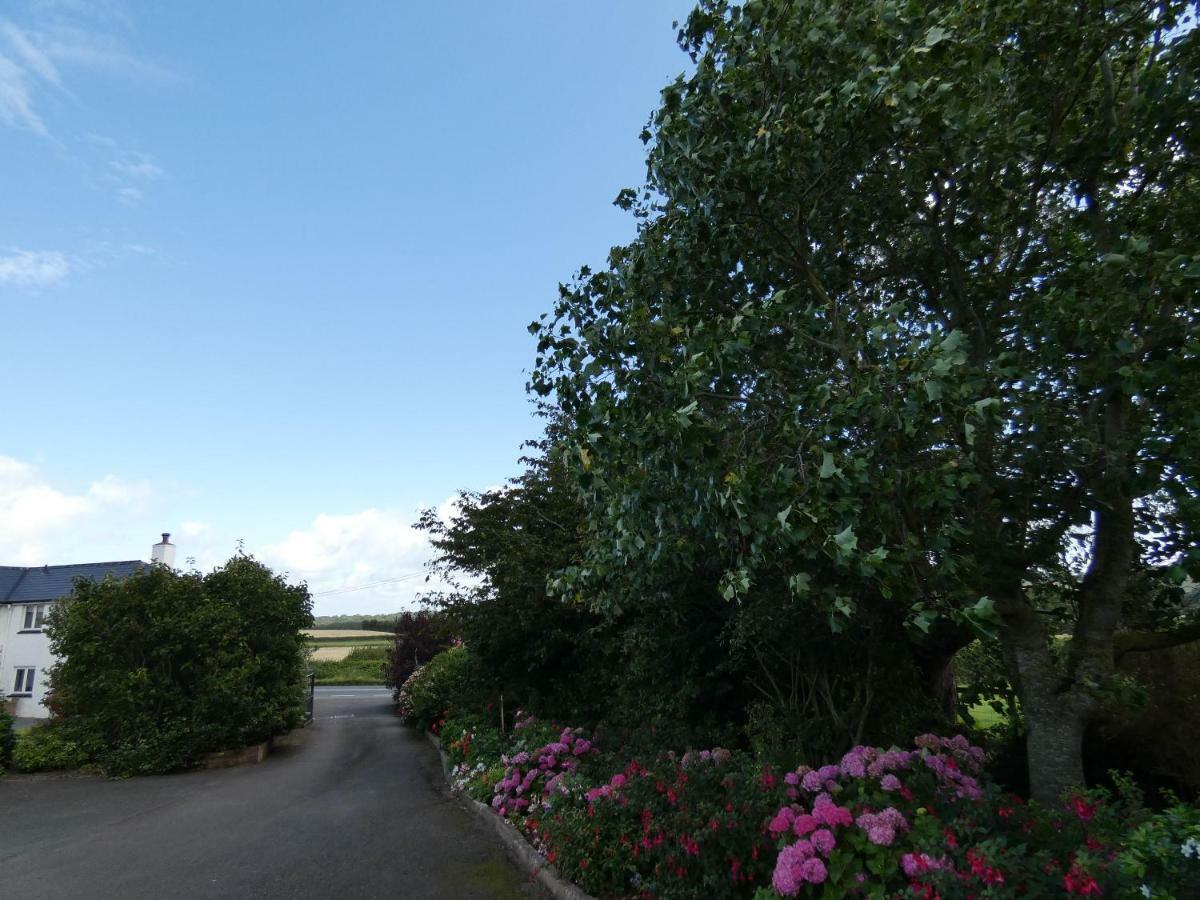 Bed and Breakfast Bournestream Withycombe Exteriér fotografie
